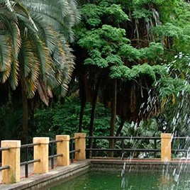 Parque da água branca