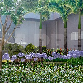 Jardim